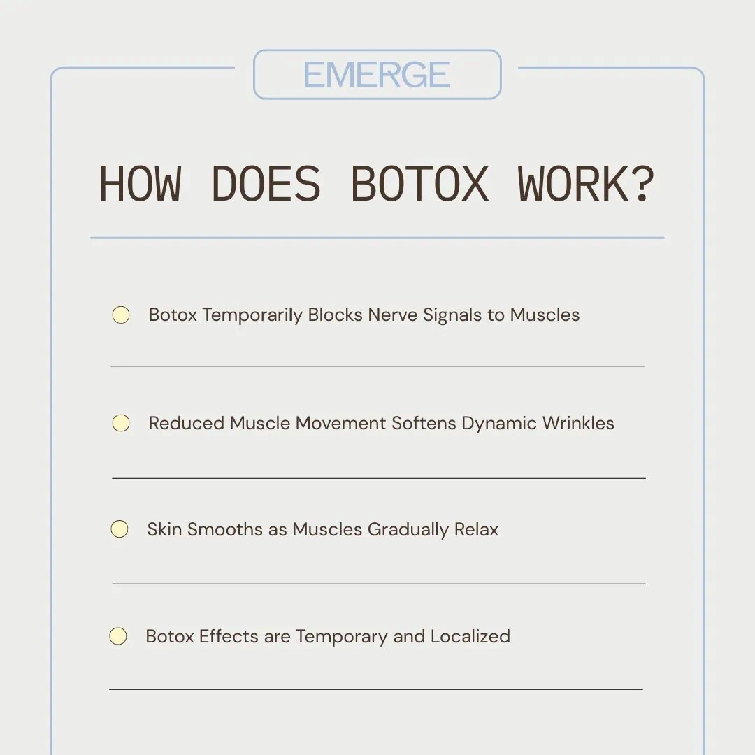 How does botox work How does botox work